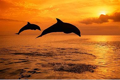 动作角色扮演游戏《野蛮人：终极BOSS战》现已推出试玩Demo 正式版6月6日推出